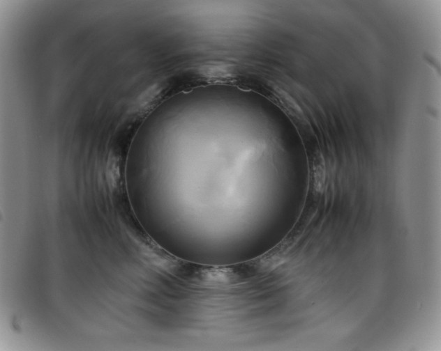 X0000099230618200804241454