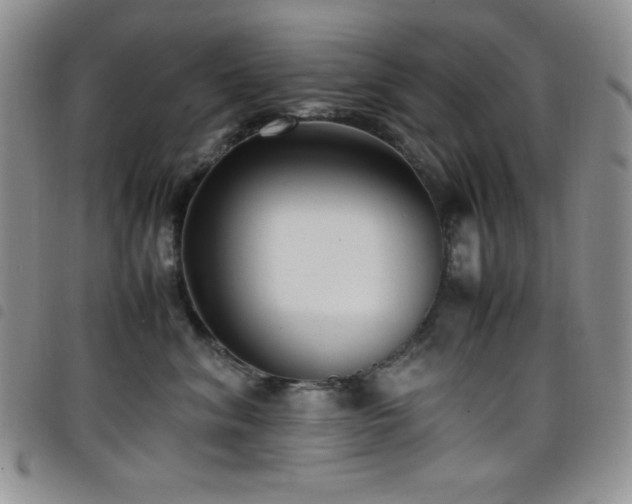 X0000099230620200804241454