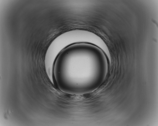 X0000099230621200804241454