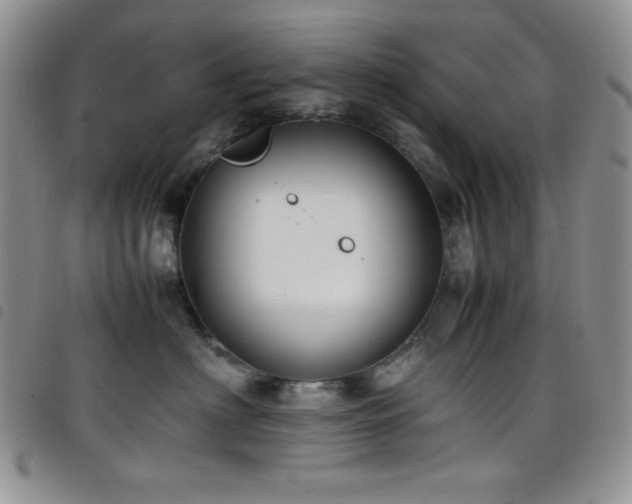 X0000099230622200804241454