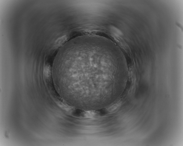 X0000099230623200804241454