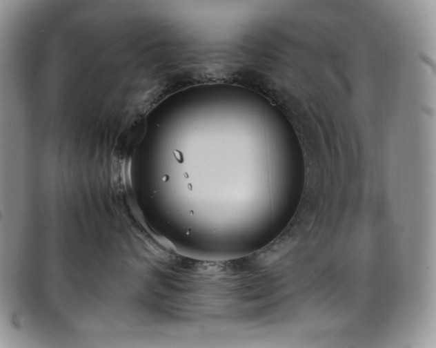 X0000099230624200804241454