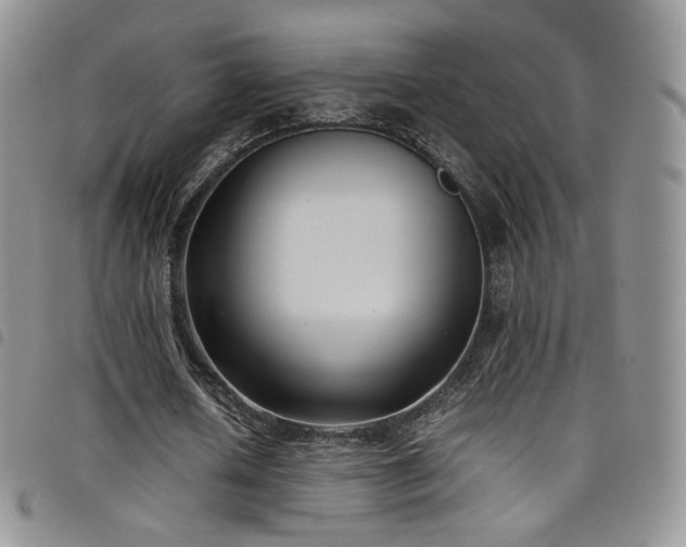 X0000099230626200804241453