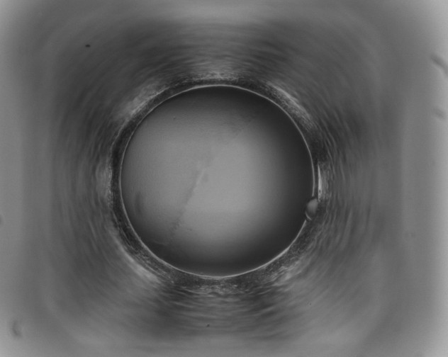 X0000099230627200804241453