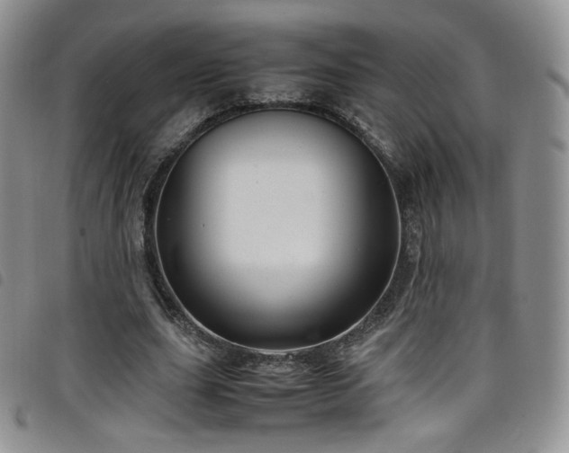 X0000099230631200804241453