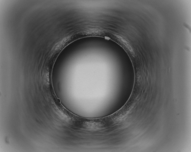 X0000099230633200804241453