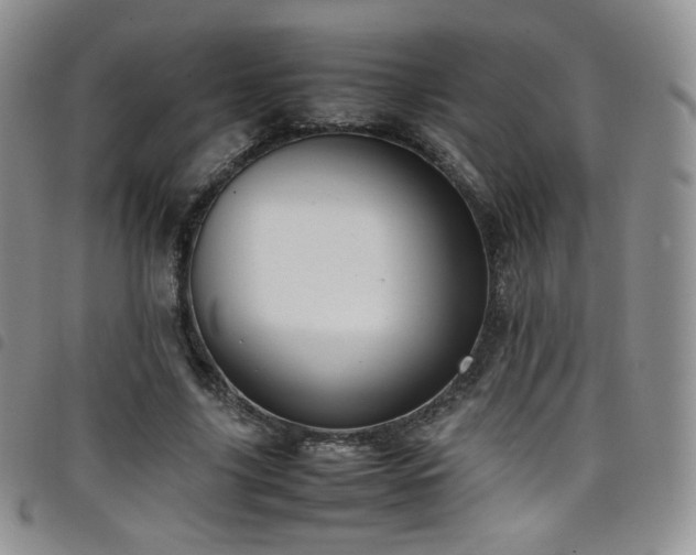 X0000099230635200804241453