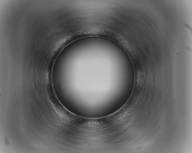 X0000099230636200804241453