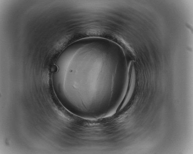 X0000099230637200804241453