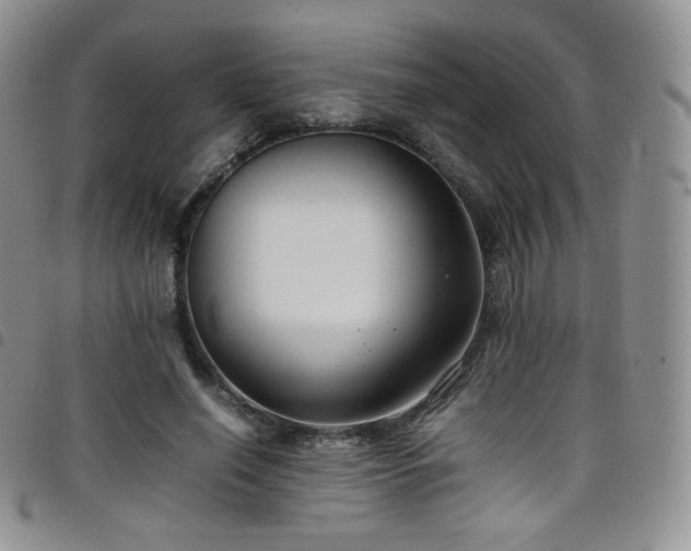 X0000099230638200804241453