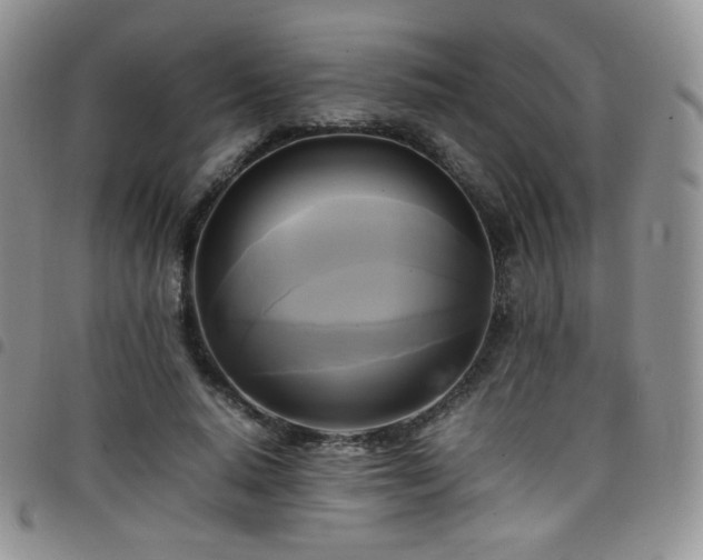 X0000099230640200804241453