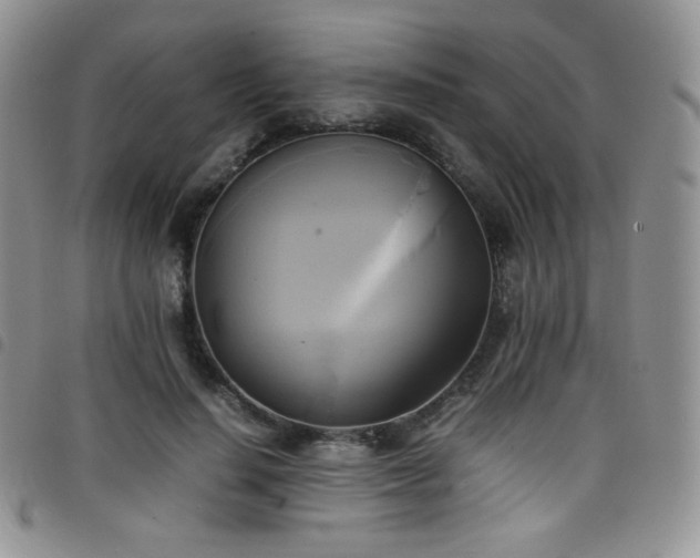 X0000099230644200804241453