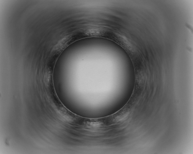 X0000099230645200804241453