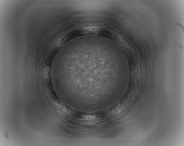 X0000099230649200804241453