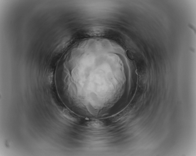 X0000099230652200804241453