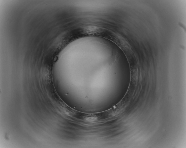 X0000099230653200804241453