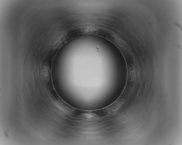 X0000099230654200804241453