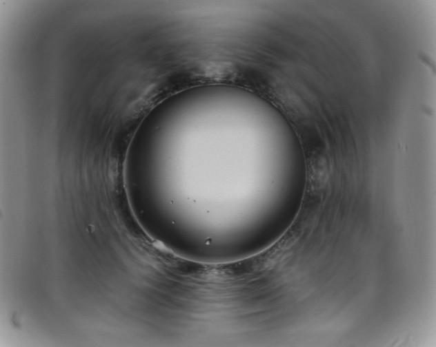 X0000099230656200804241454