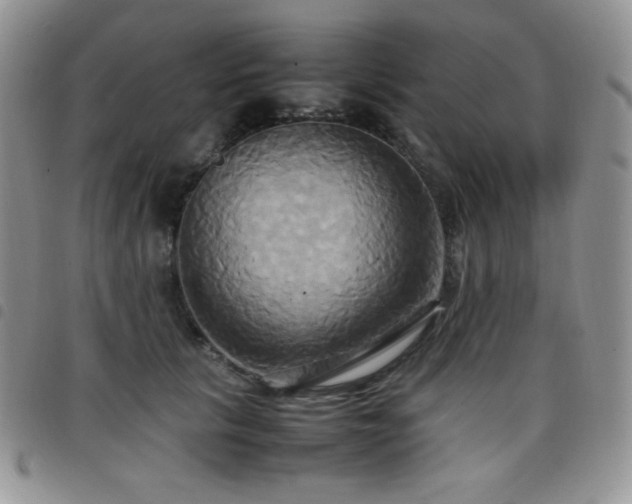 X0000099230657200804241454