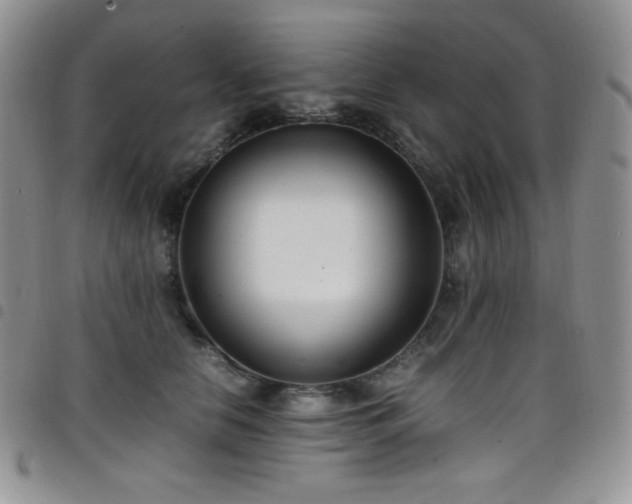 X0000099230658200804241454