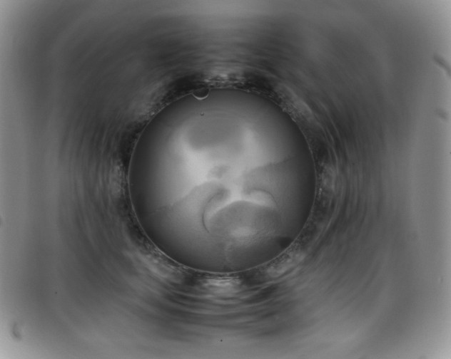 X0000099230659200804241454