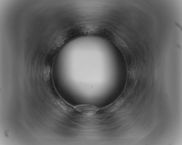 X0000099230660200804241454