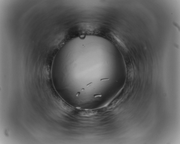 X0000099230661200804241454