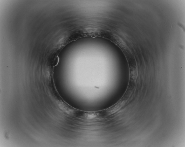 X0000099230662200804241454