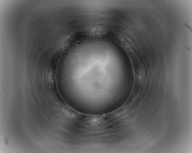 X0000099230663200804241454