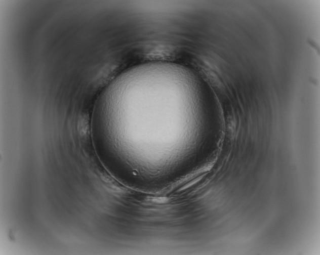 X0000099230665200804241454