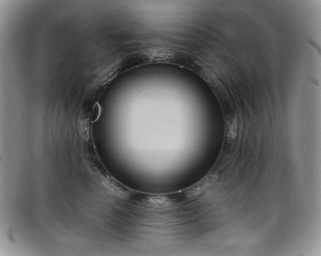 X0000099230666200804241454