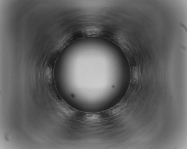 X0000099230667200804241454