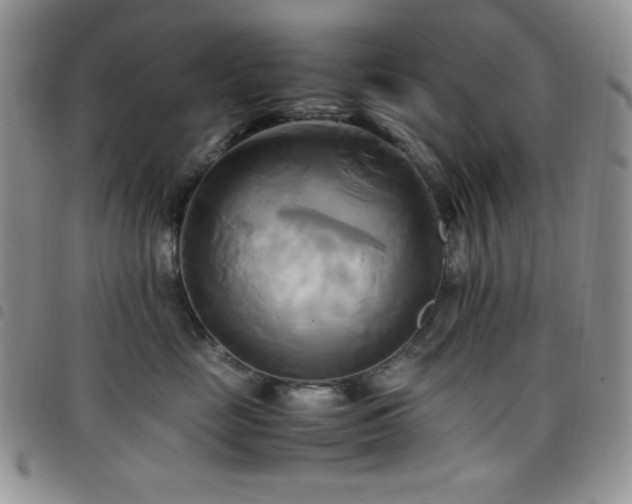 X0000099230669200804241454