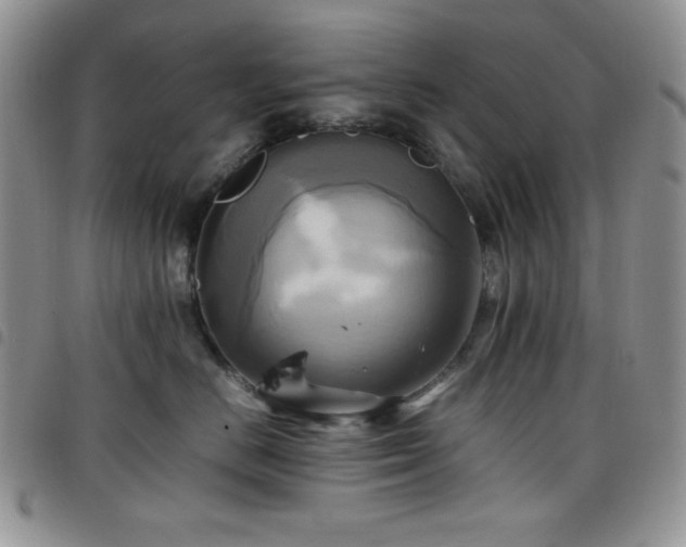 X0000099230670200804241454