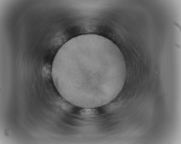 X0000099230672200804241454