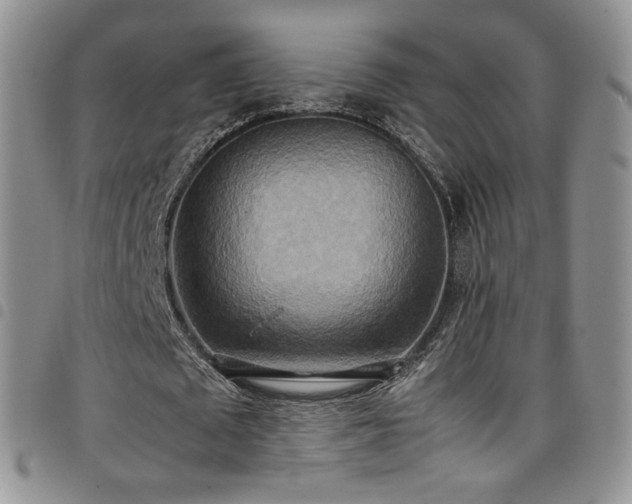 X0000099230673200804241453