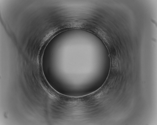 X0000099230674200804241453