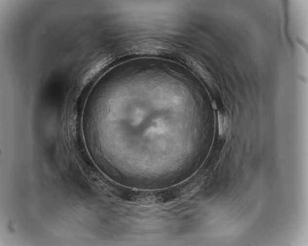 X0000099230675200804241453