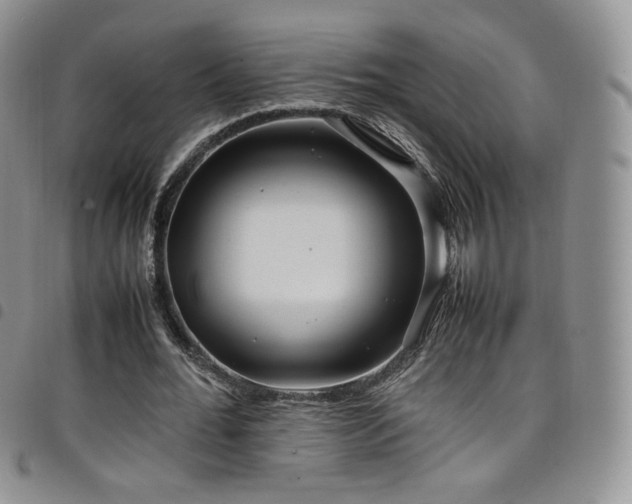 X0000099230676200804241453