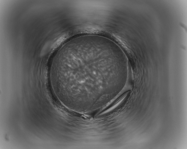 X0000099230679200804241453