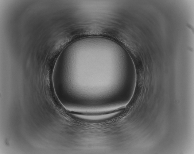 X0000099230681200804241453