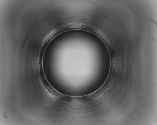 X0000099230682200804241453