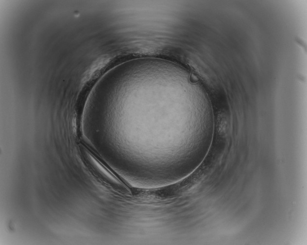 X0000099230685200804241453
