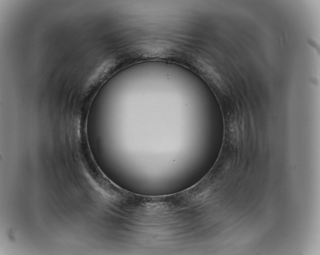 X0000099230686200804241453