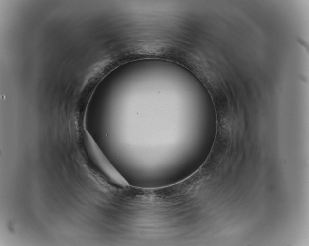 X0000099230688200804241453