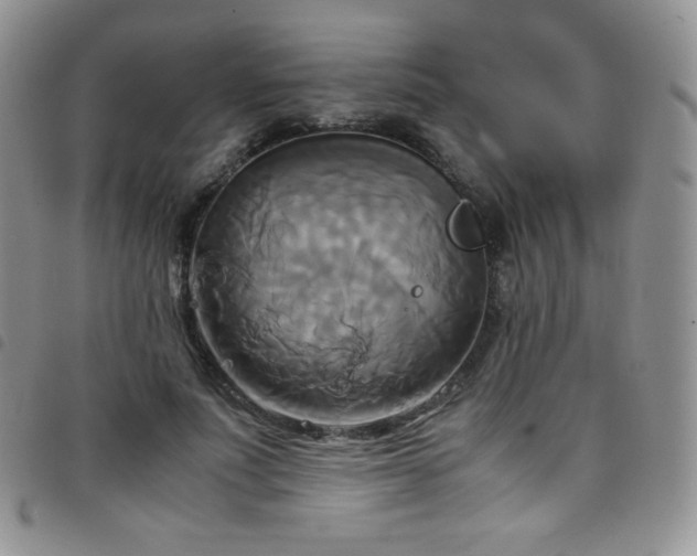 X0000099230691200804241453