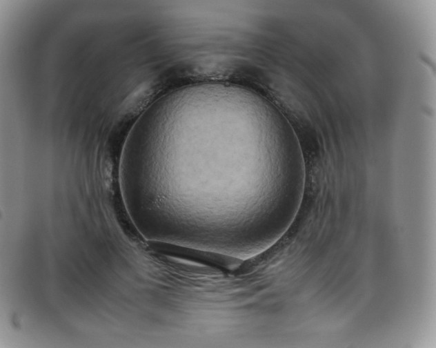 X0000099230693200804241453