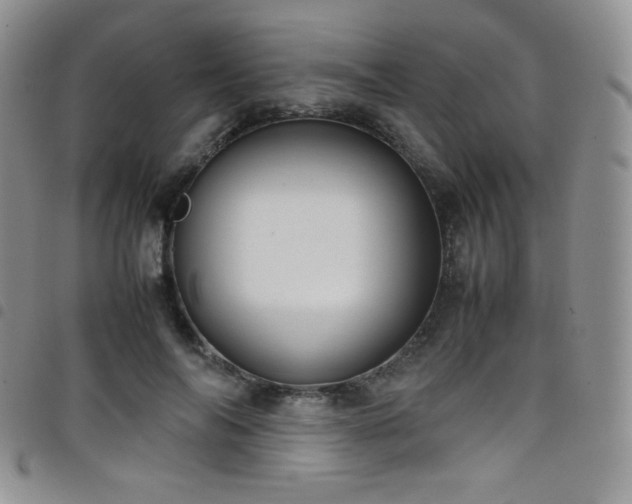 X0000099230694200804241453