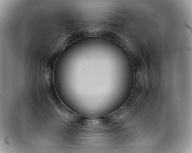 X0000099230698200804241453