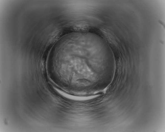 X0000099230699200804241453